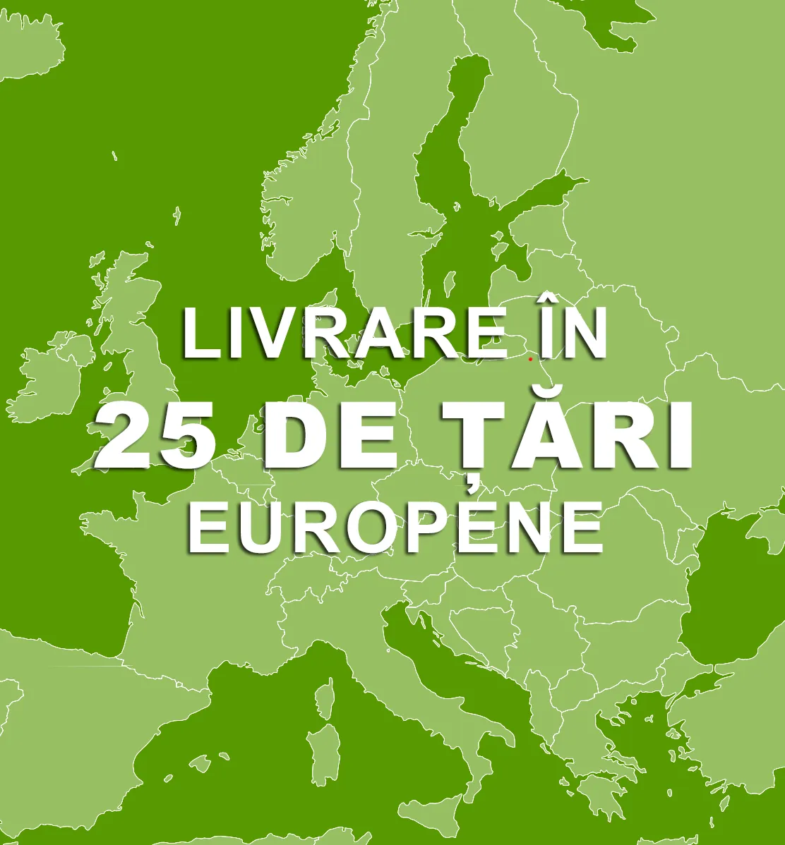 Livrăm jante în 25 de țări europene