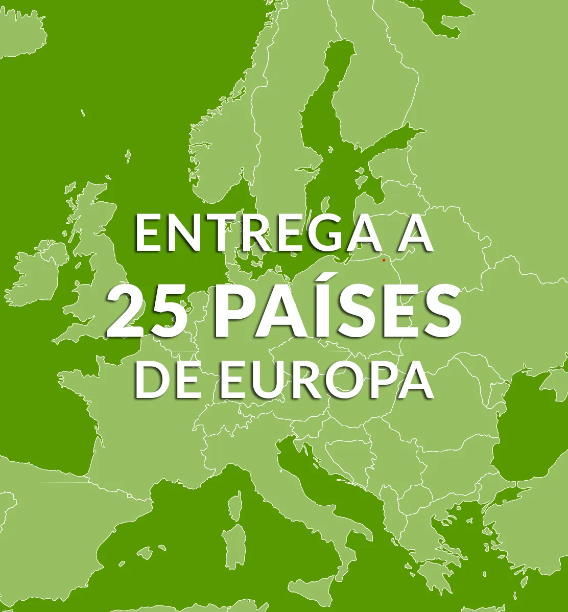 Entregamos llantas a 25 países europeos.