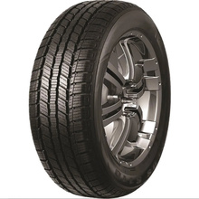 Pneumatici Tracmax S-110 175/65 R15 84T