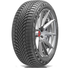 Gumiabroncsok Maxxis PREMITRA SNOW WP6 SUV XL 255/45 R20 105V