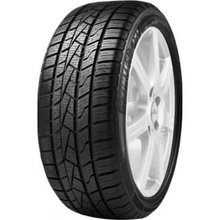 Pneus Delinte AW5 155/80 R13 79T