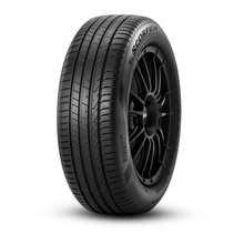 Tires Pirelli Scorpion FR ELT AO (+) 235/55 R19 101T